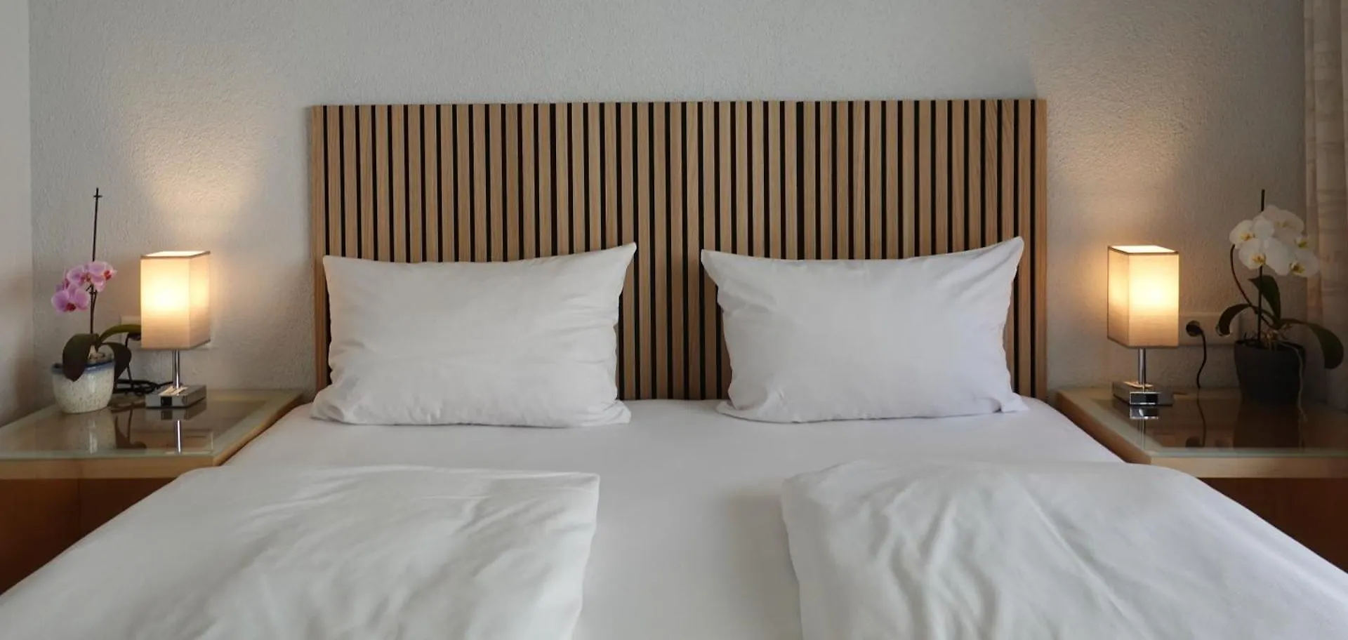 Hotel Birnbaum Ansbach 3*,  Germany